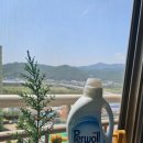 화이트세탁 이미지