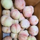 복숭아~포도 너무 좋습니다~~ 이미지