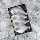 맛수러움 이미지