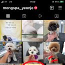 몽스파 연제점 이미지