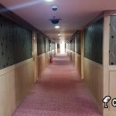 간성당구장 이미지