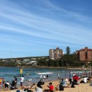 바다로 가는 길목 | 시드니 맨리비치 페리 서큘러키 가는 방법 에코백 쇼핑 젤라또 맛집 방문 후기