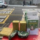 만두데이 이미지