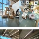 동물보육원 고양지부 이미지