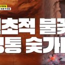 숯가마 식당 이미지