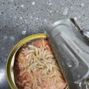 내추럴로 | 조공 소피캣 내추럴 참치&amp;멸치 고양이 습식캔 급여 후기