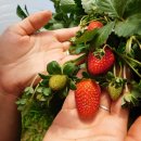 순서농장 이미지