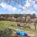 달천펜션 이미지