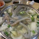 박속낙지 이미지