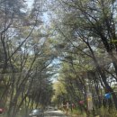 가람스테이1 | [템플스테이] 엄마랑 언니랑 양산 통도사 불소원 템플스테이 후기/1일차 (안양암/공양간/저녁예불)