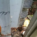 리츠펫 서산호수공원점 이미지