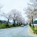 가리봉동자치회관 이미지