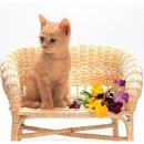 화이팅한의원 이미지