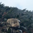 5.16토요일 관악산(코뿔소바위)자유리딩 이미지