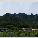 동아무도장 이미지