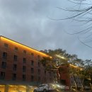 [당진] 한진포구, 이주 단지 근처 가성비 최고 당진호텔 추천!! 큐비스트 호텔 내돈내산 후기