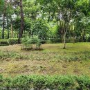 독서근린공원 이미지