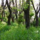 백병조 | 전라도정자詩로 만난 인물(1045)-민주현(閔冑顯)-2