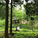 여기남해 이미지