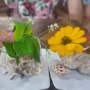 몽트헤조흐