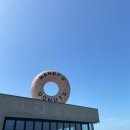 금보농장 | [제주] 고죽컴퍼니 여름휴가, 얘들아 다음엔 해외다!