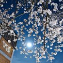 안다미로귀때박물관 이미지