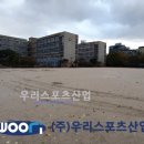 경동초등학교 이미지