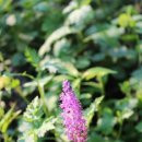 추사 유배길 - 3코스 사색의 길 이미지