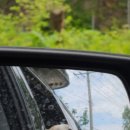 김행종의집 이미지