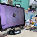 24시청담우리동물병원 이미지