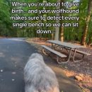 산책가개 이미지