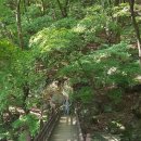 동철농장 이미지