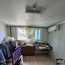 교동초 앞 이미지