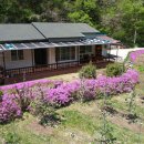 주택토지행정사사무소 이미지