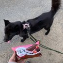 도고내식당 이미지
