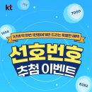 선호네