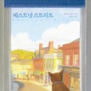 썸머오로라