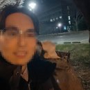 만두세끼 이미지