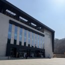 강아지숲 박물관 | 🌲 춘천 강아지숲 방문 후기