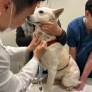 범어동물병원 이미지