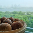 용산-이촌-961 | 곶감단지 후기 및 수업공지입니다~~~~