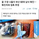 꽃 구경 나들이 부산 60대 남녀 확진…확진자와 접촉 추정 이미지