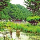 천상의정원