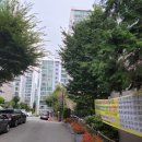우성아파트 이미지