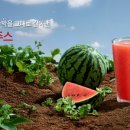 폴바셋롯데광복점