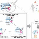 ■ DNA 정교하게 절단, 차세대 유전자 가위 발굴 이미지