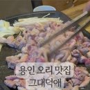 대덕로스 이미지