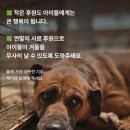 밥주세요 네이버블로그
