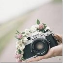 와바와바 이미지