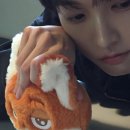 스타피드 이미지